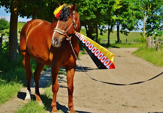 而是通过调 而是通过调