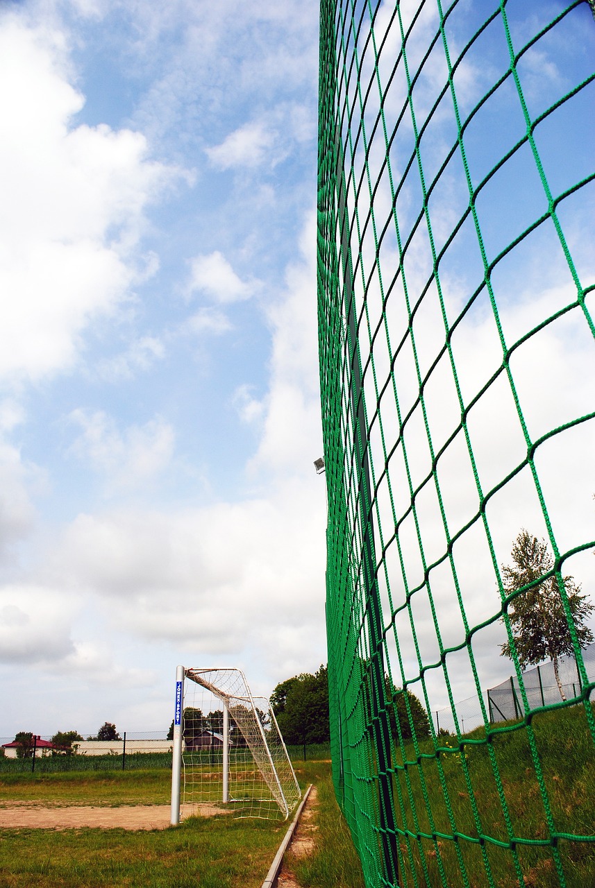 重返赛场 重返赛场