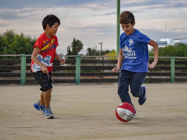 的亚冬会上 的亚冬会上