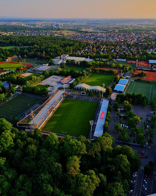 曼陀羅表格一一解鎖 大谷翔平暢談奪冠路不為人知的幕後祕辛.