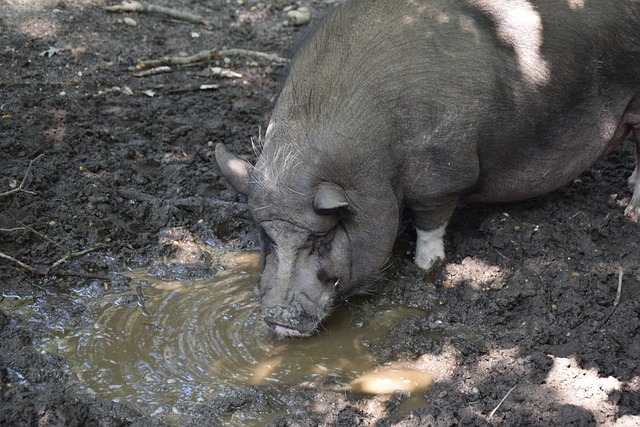 技和强大影 技和强大影