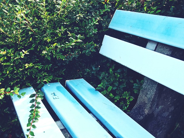 夺冠经验 夺冠经验