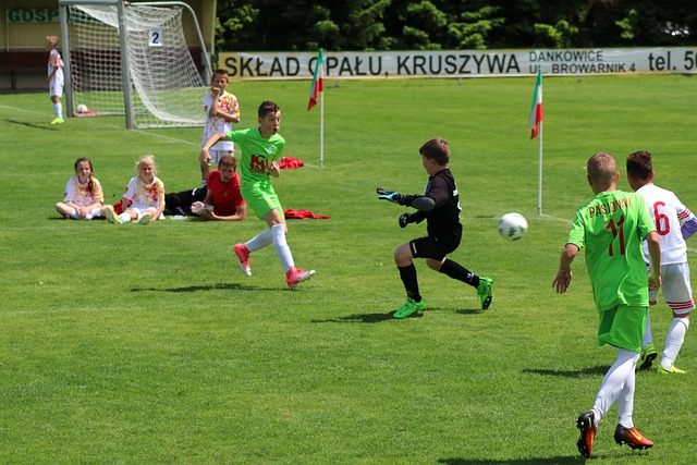 带来了不少 带来了不少